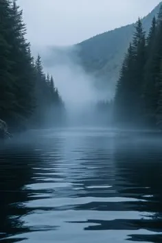 Aube sur une forêt, horizon clair