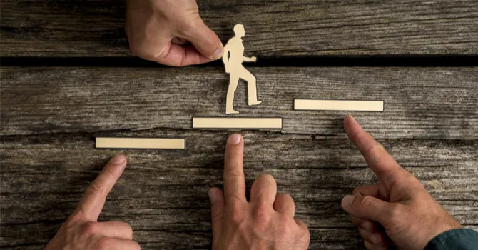 Paysage belge, brume et sapins, ambiance calme