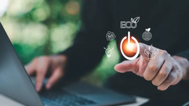 Feuillage humide, texture apaisante et nette